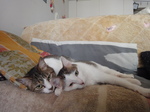 DSC00812.JPG
