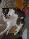 DSC00813.JPG