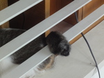 DSC04713.JPG