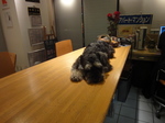 DSC05279.JPG