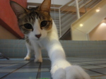 DSC06174.JPG
