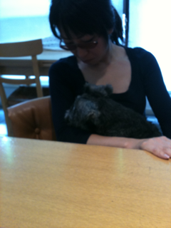 image-20100717172140.png