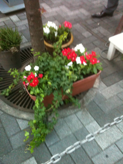 image-20110830211109.png