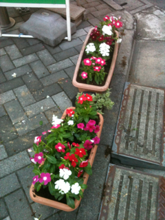 image-20110830211127.png